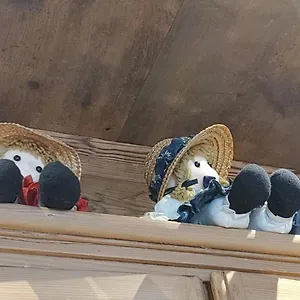 A Ceda Toa San Pietro di Cadore