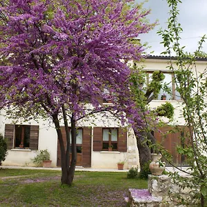 Altè Paderno del Grappa